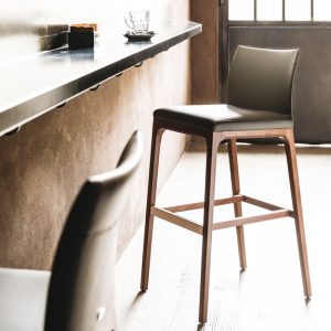 Arcadia Bar Stool