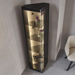 Atelier Display Cabinet