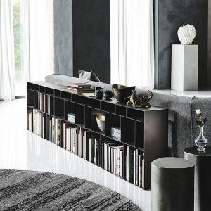Latitude Low Bookcase