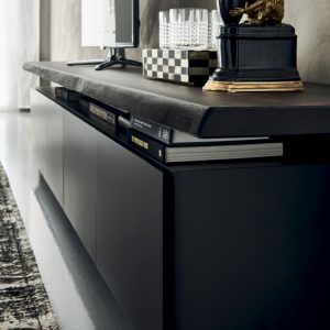 Seneca TV Unit