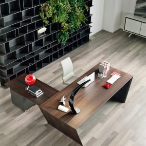 Vega Peninsula Desk