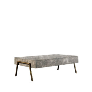Alexndra Lucio coffee table