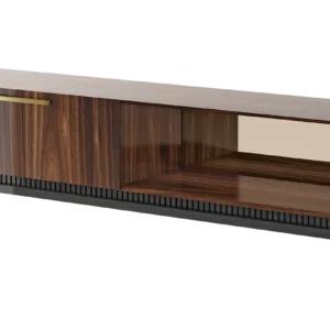 DRESDEN TV unit