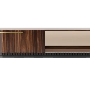 GEORGIA TV Unit