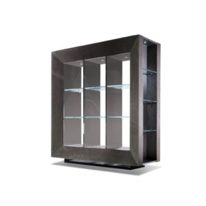 Vision bifacial display cabinet