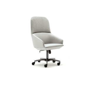 Moonlight presidential chair