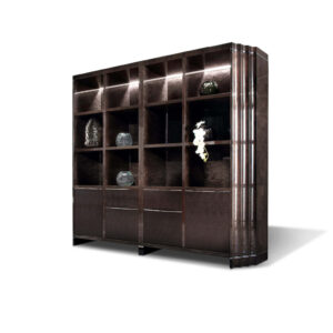 Absolute double bookcase