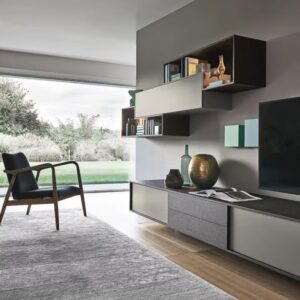 Wall Unit Design WU 14