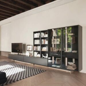 Wall Unit Design WU 31
