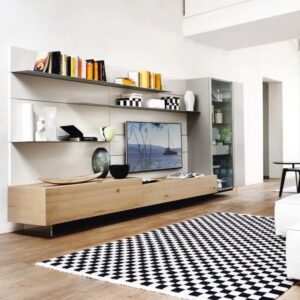 Wall Unit Design WU 41