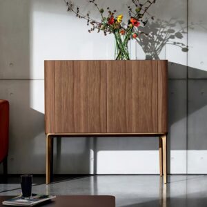 Slim 2 Doors Drinks Cabinet