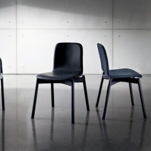 Two Tone Dining Chair