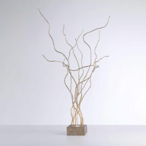 Wind Collection